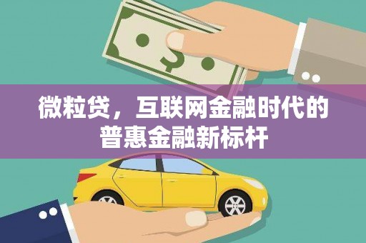 沈北新区微粒贷，互联网金融时代的普惠金融新标杆