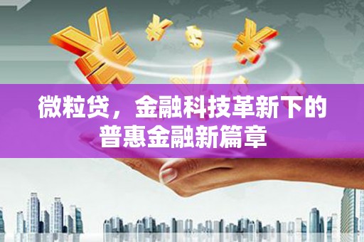 沈北新区微粒贷，金融科技革新下的普惠金融新篇章