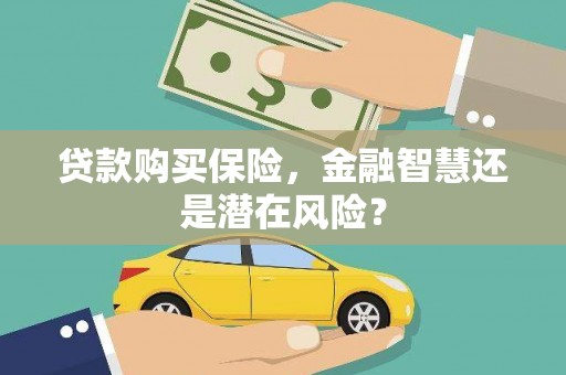 沈北新区贷款购买保险，金融智慧还是潜在风险？