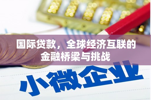 沈北新区国际贷款，全球经济互联的金融桥梁与挑战