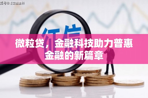 沈北新区微粒贷，金融科技助力普惠金融的新篇章