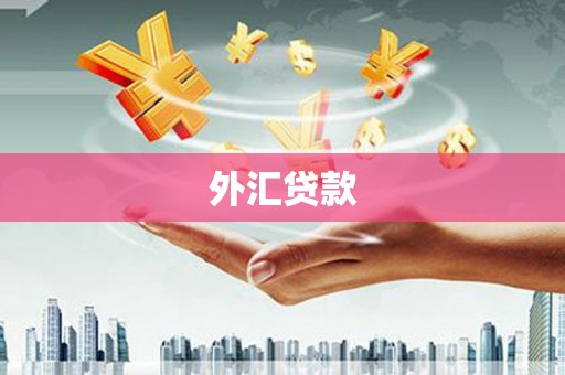 沈北新区外汇贷款