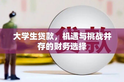 沈北新区大学生贷款，机遇与挑战并存的财务选择