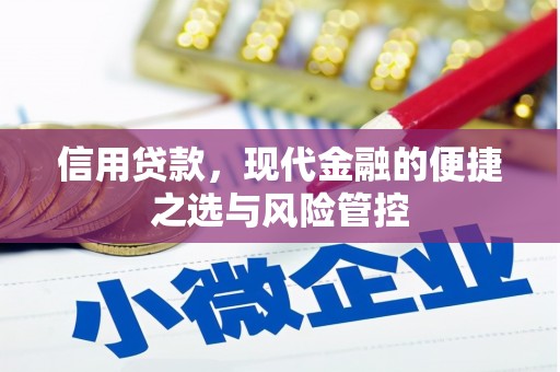 沈北新区信用贷款，现代金融的便捷之选与风险管控