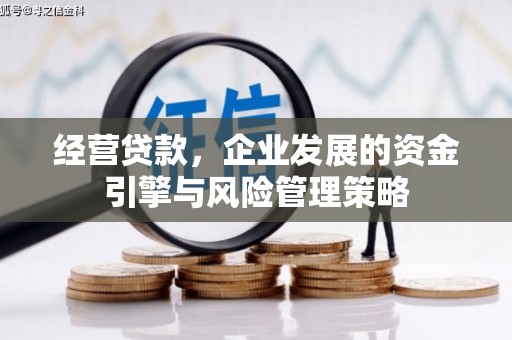 沈北新区经营贷款，企业发展的资金引擎与风险管理策略