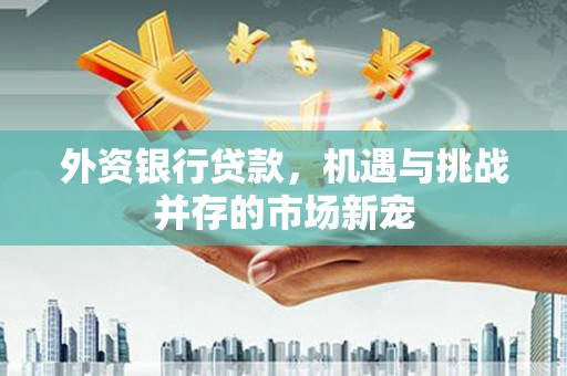 沈北新区外资银行贷款，机遇与挑战并存的市场新宠
