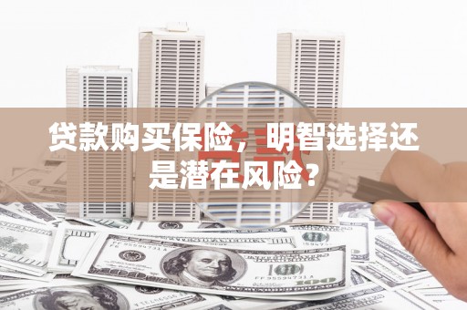沈北新区贷款购买保险，明智选择还是潜在风险？