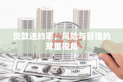 沈北新区贷款违约率，风险与管理的双重视角