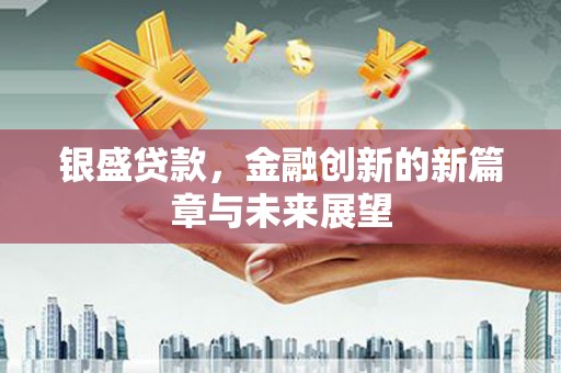 沈北新区银盛贷款，金融创新的新篇章与未来展望