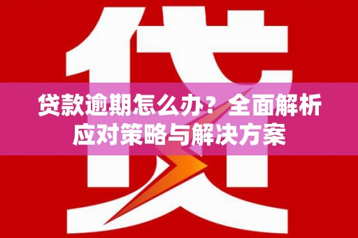 沈北新区贷款逾期怎么办？全面解析应对策略与解决方案