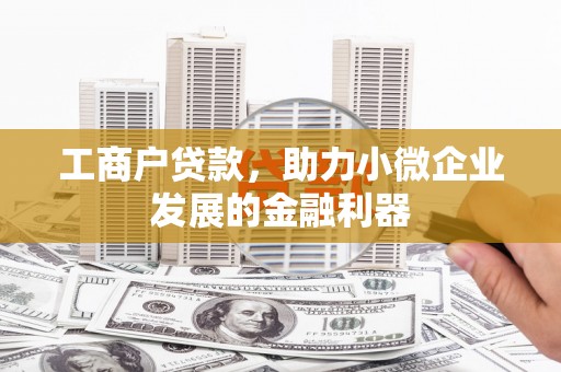 沈北新区工商户贷款，助力小微企业发展的金融利器