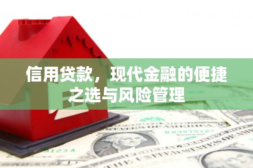 沈北新区信用贷款，现代金融的便捷之选与风险管理