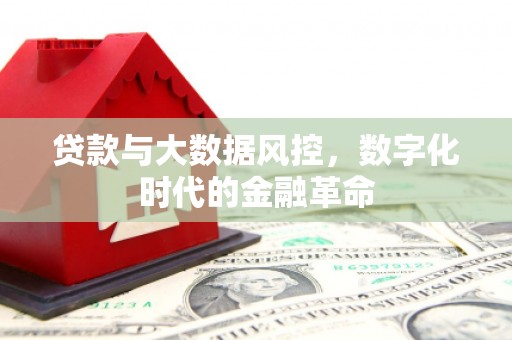 沈北新区贷款与大数据风控，数字化时代的金融革命