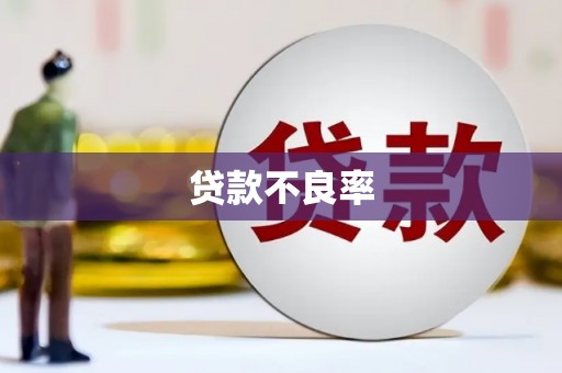 沈北新区贷款不良率