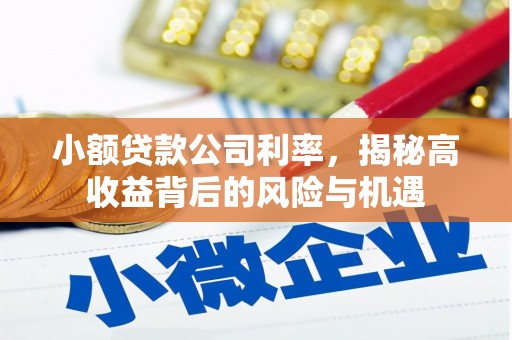 沈北新区小额贷款公司利率，揭秘高收益背后的风险与机遇