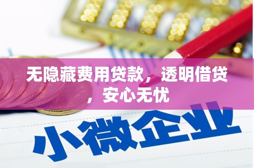沈北新区无隐藏费用贷款，透明借贷，安心无忧