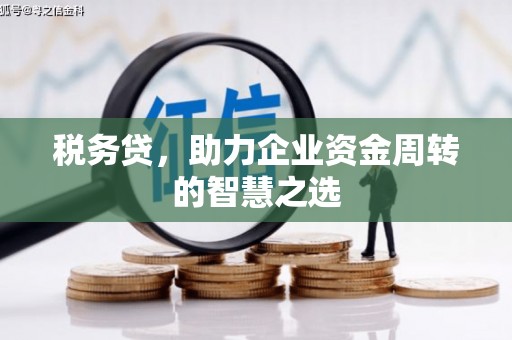 沈北新区税务贷，助力企业资金周转的智慧之选