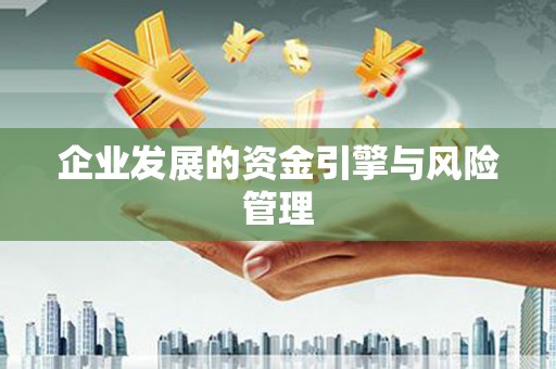 沈北新区企业发展的资金引擎与风险管理