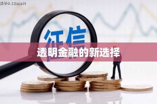 沈北新区透明金融的新选择