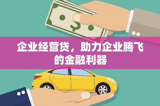 沈北新区企业经营贷，助力企业腾飞的金融利器