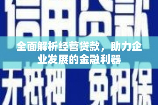 沈北新区全面解析经营贷款，助力企业发展的金融利器