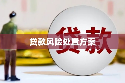沈北新区贷款风险处置方案