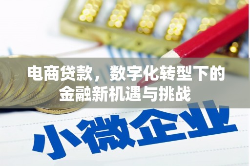 沈北新区电商贷款，数字化转型下的金融新机遇与挑战