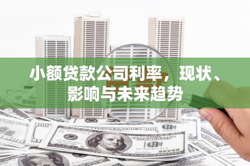 沈北新区小额贷款公司利率，现状、影响与未来趋势