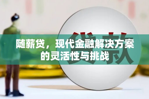 沈北新区随薪贷，现代金融解决方案的灵活性与挑战