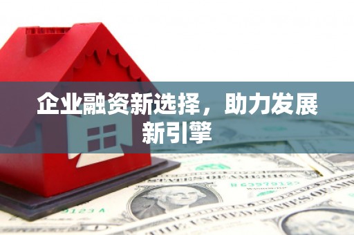 沈北新区企业融资新选择，助力发展新引擎