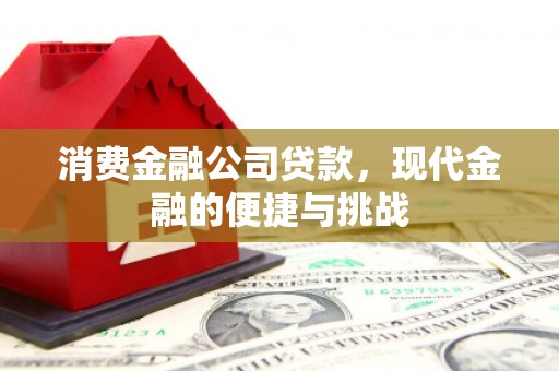 沈北新区消费金融公司贷款，现代金融的便捷与挑战