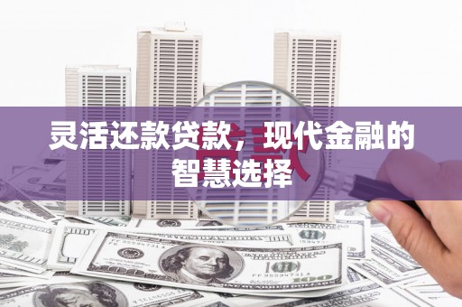 沈北新区灵活还款贷款，现代金融的智慧选择