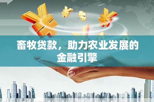 沈北新区畜牧贷款，助力农业发展的金融引擎