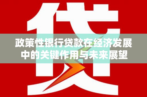 沈北新区政策性银行贷款在经济发展中的关键作用与未来展望