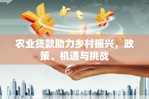 沈北新区农业贷款助力乡村振兴，政策、机遇与挑战