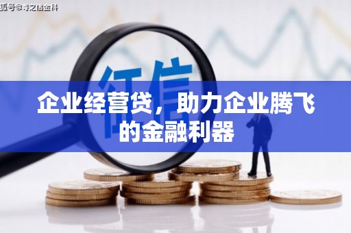 沈北新区企业经营贷，助力企业腾飞的金融利器