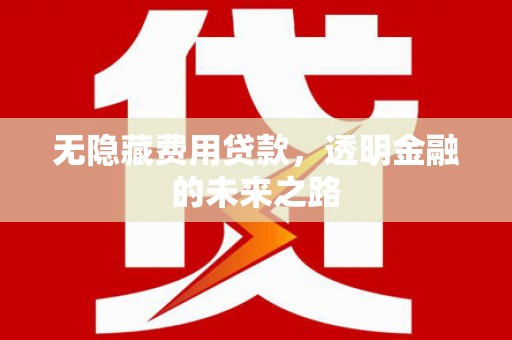 沈北新区无隐藏费用贷款，透明金融的未来之路