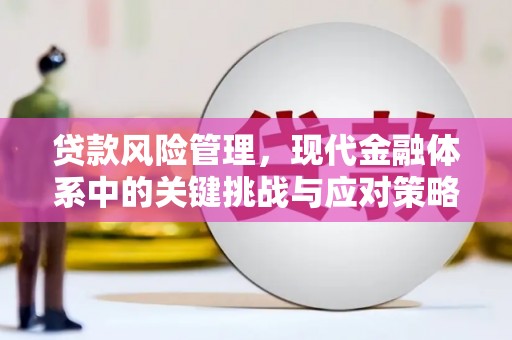 沈北新区贷款风险管理，现代金融体系中的关键挑战与应对策略