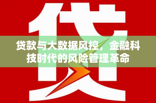 沈北新区贷款与大数据风控，金融科技时代的风险管理革命