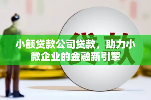 沈北新区小额贷款公司贷款，助力小微企业的金融新引擎