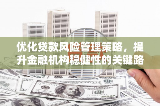 沈北新区优化贷款风险管理策略，提升金融机构稳健性的关键路径