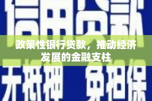 沈北新区政策性银行贷款，推动经济发展的金融支柱