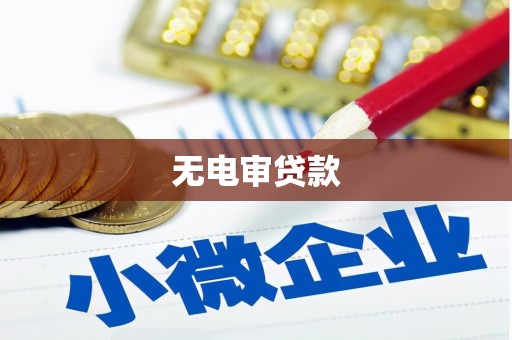 沈北新区无电审贷款