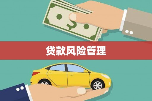 沈北新区贷款风险管理