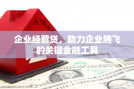 沈北新区企业经营贷，助力企业腾飞的关键金融工具