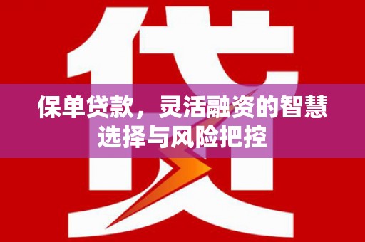 沈北新区保单贷款，灵活融资的智慧选择与风险把控