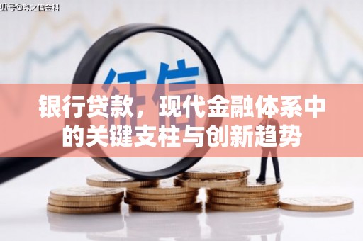 沈北新区银行贷款，现代金融体系中的关键支柱与创新趋势