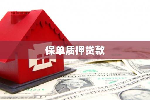 沈北新区保单质押贷款