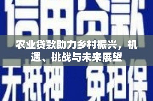 沈北新区农业贷款助力乡村振兴，机遇、挑战与未来展望