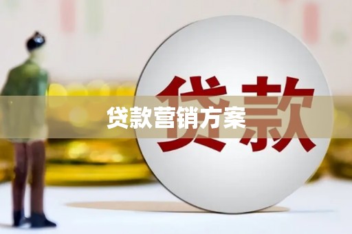 沈北新区贷款营销方案